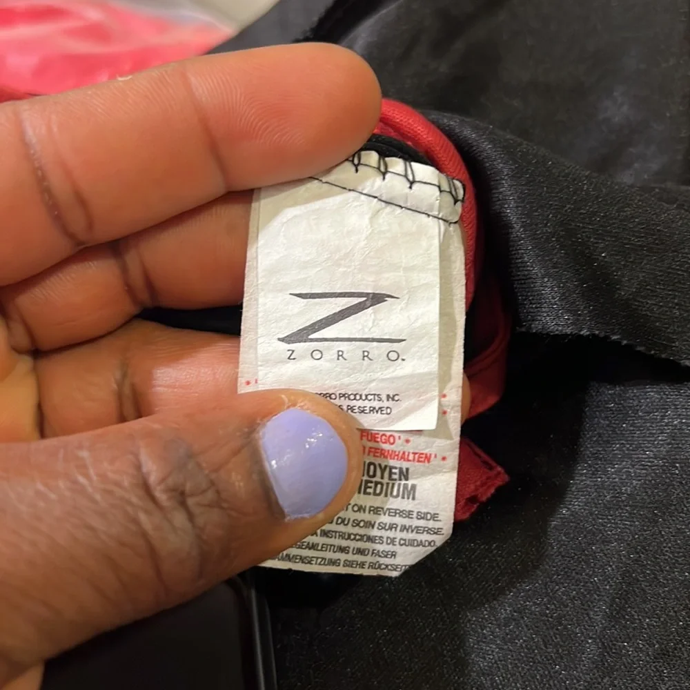 Zorro Halloween costume. - Picture 6 of 6